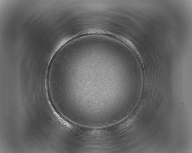 X0000058130847200509231117