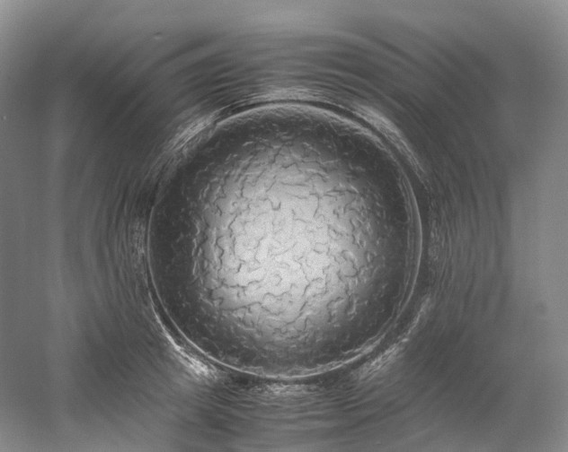 X0000058130849200509231117
