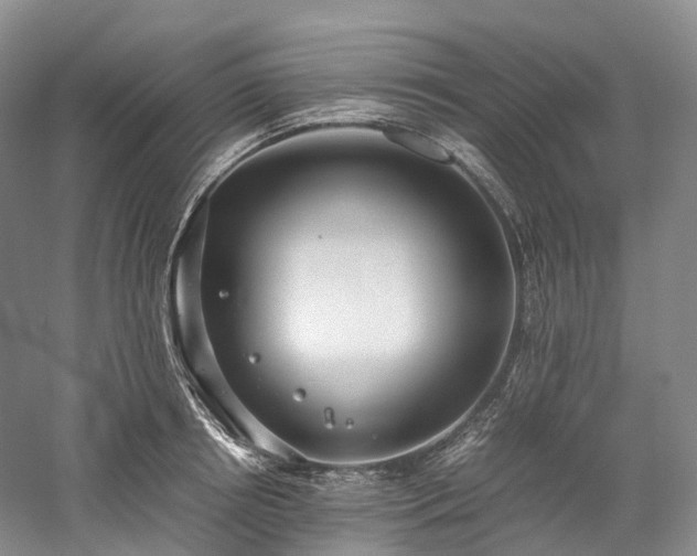 X0000058130850200509231117