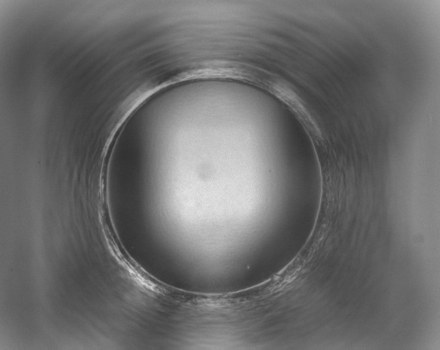 X0000058130852200509231117