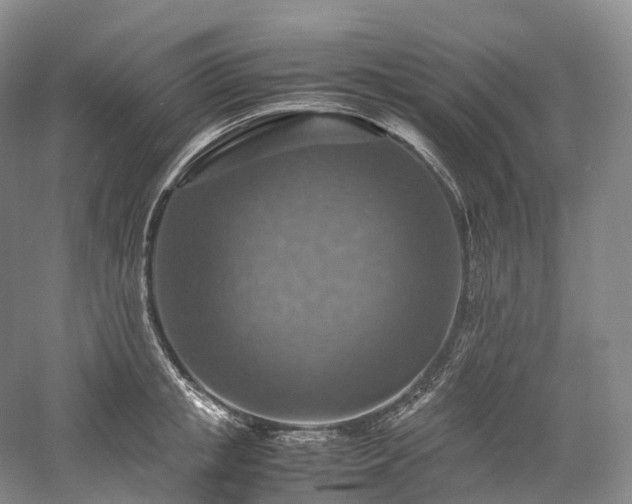X0000058130853200509231117
