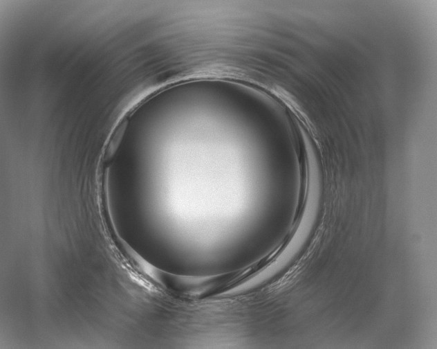 X0000058130854200509231117