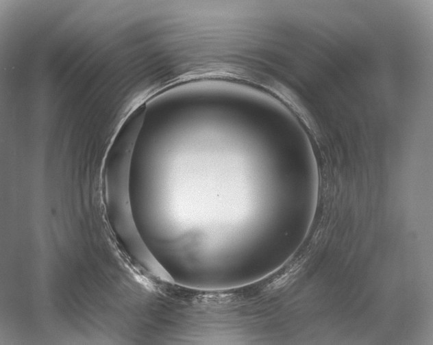 X0000058130858200509231117