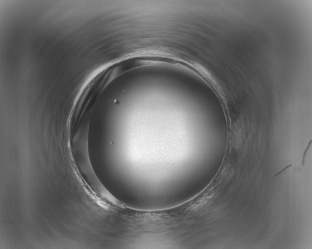 X0000058130862200509231117