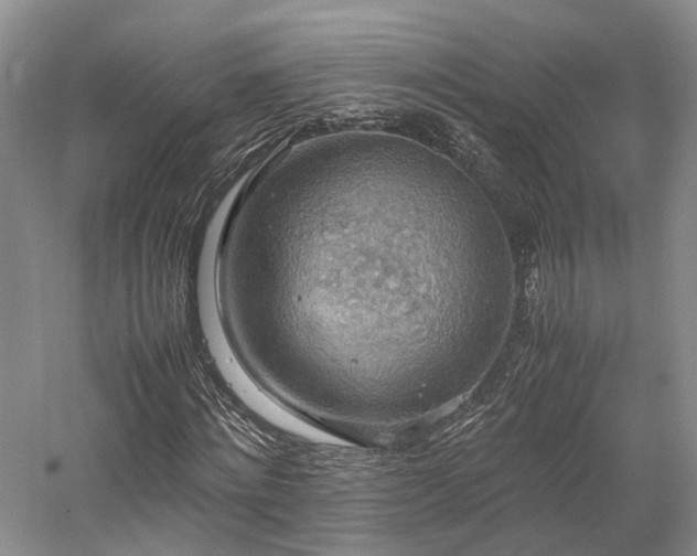 X0000058130868200509231116