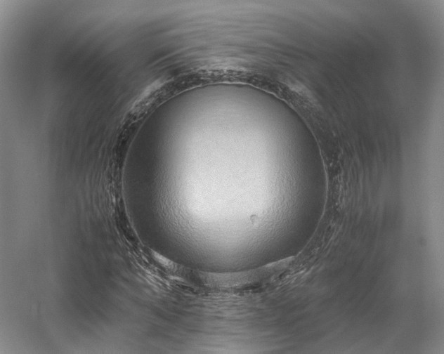 X0000058130870200509231116