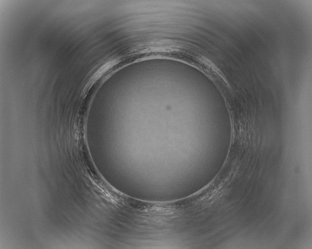 X0000058130874200509231116