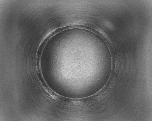 X0000058130878200509231116