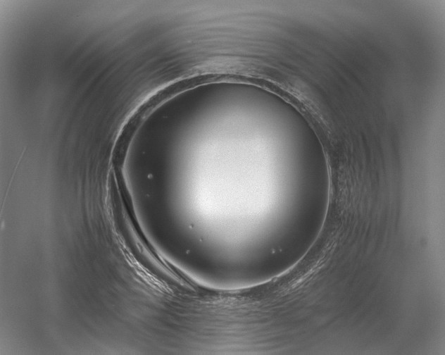 X0000058130880200509231116