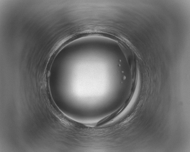 X0000058130885200509231116