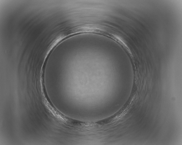X0000058130899200509231115
