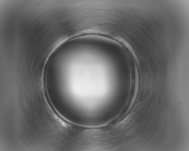 X0000058130902200509231115