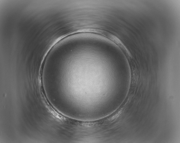 X0000058130908200509231115