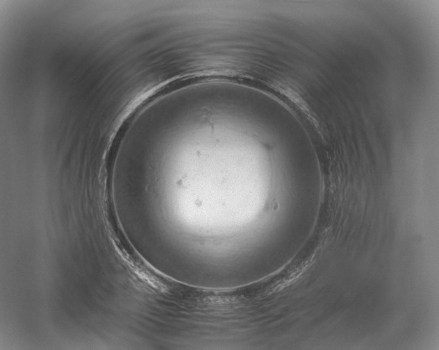 X0000058130933200509231115