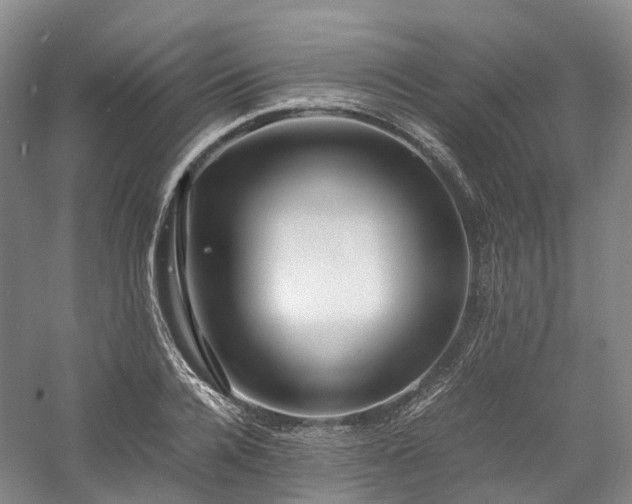 X0000058130936200509231115