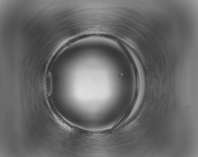 X0000058130942200509231115