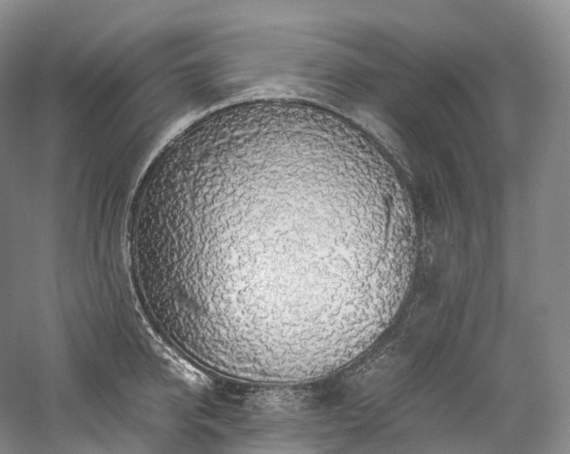 X0000058130950200509231115
