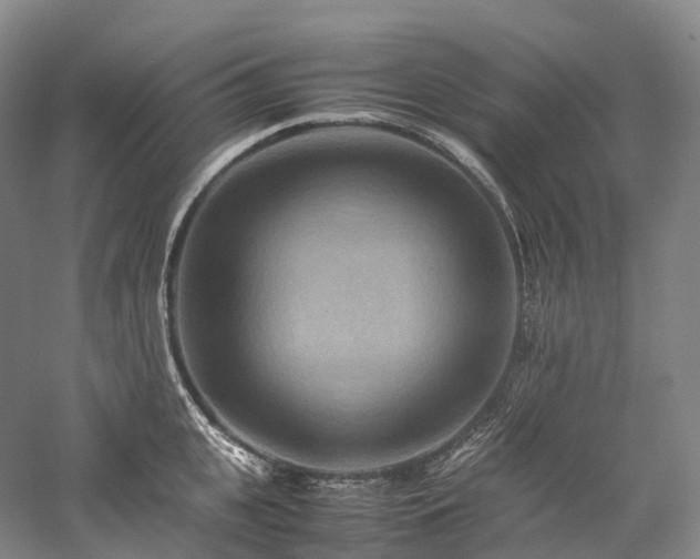 X0000058130951200509231115