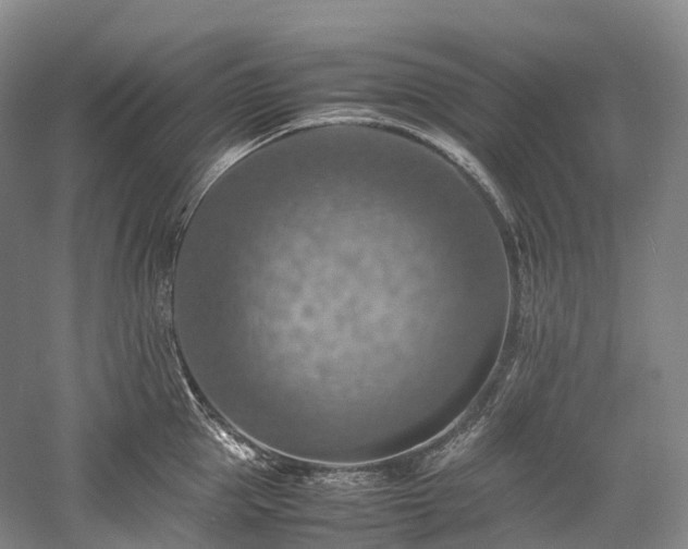 X0000058130953200509231115