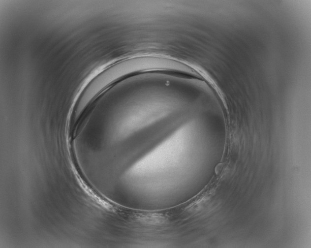 X0000058130957200509231115