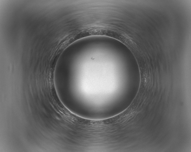 X0000058130964200509231114