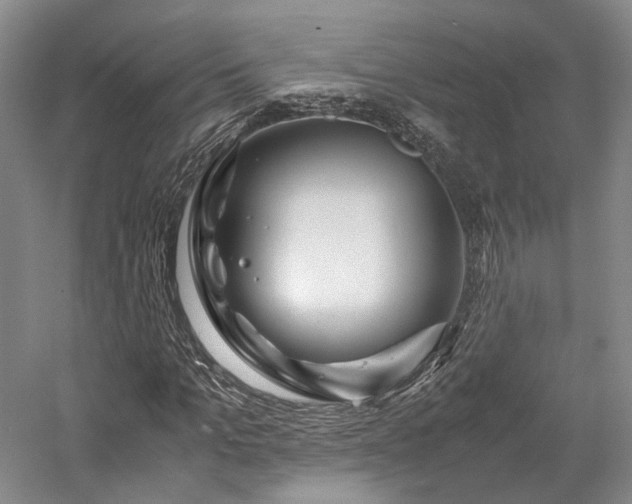 X0000058130965200509231114