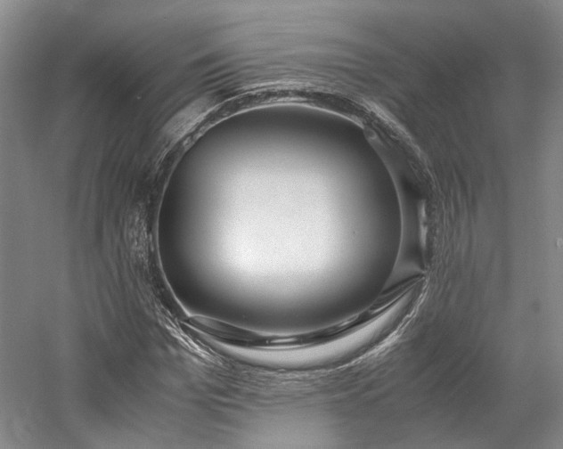 X0000058130969200509231114