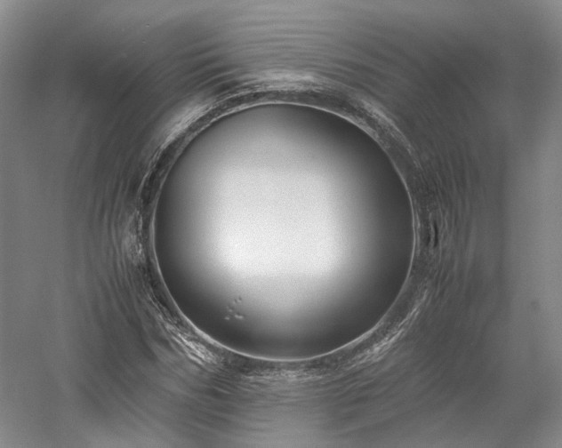 X0000058130970200509231114
