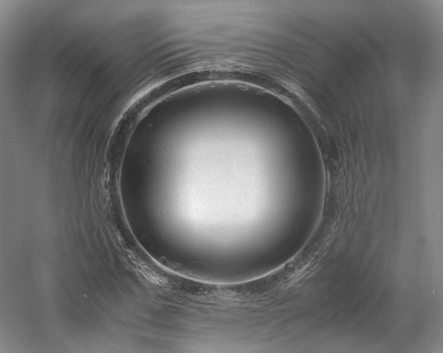 X0000058130971200509231114