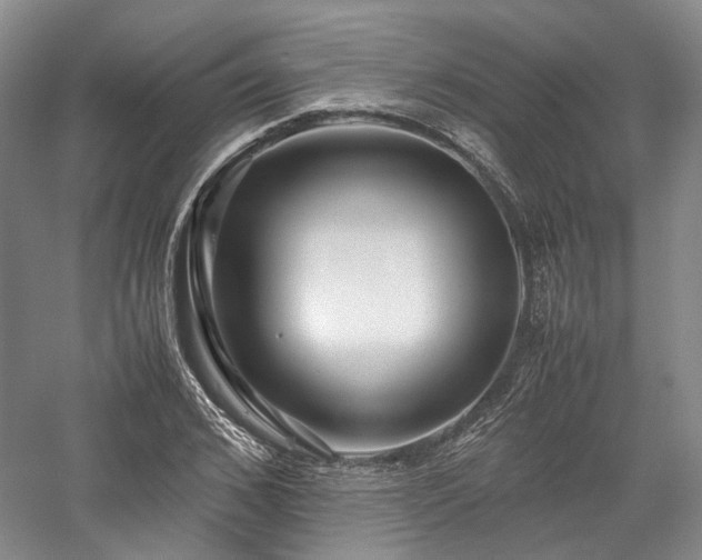 X0000058130976200509231114