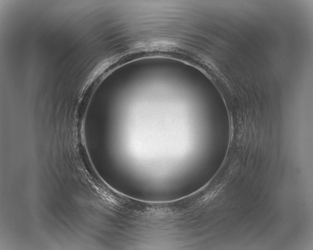 X0000058130978200509231114