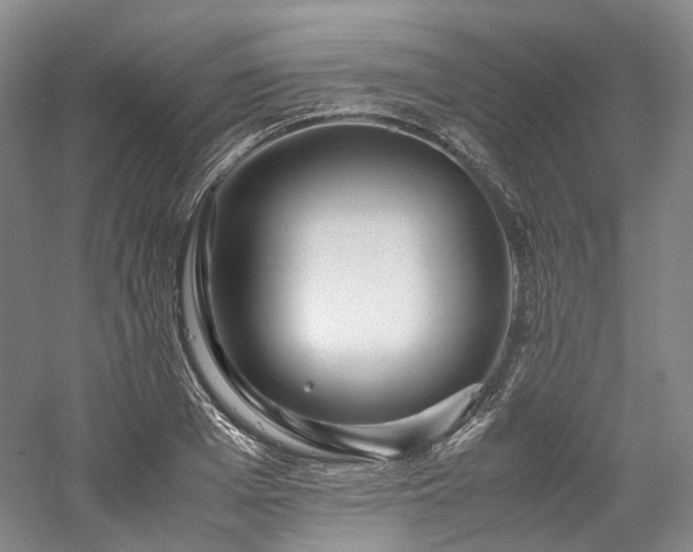 X0000058130985200509231114