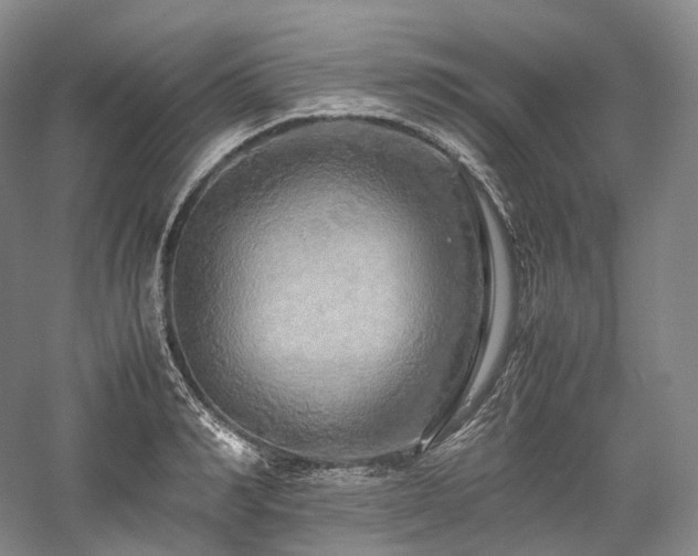 X0000058130990200509231114