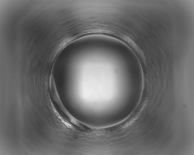 X0000058130993200509231114