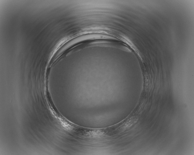 X0000058130994200509231114