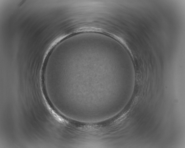 X0000058130995200509231114