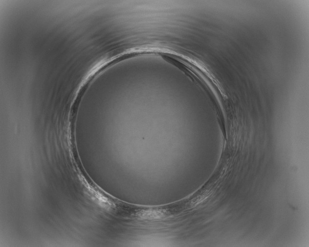 X0000058130998200509231114