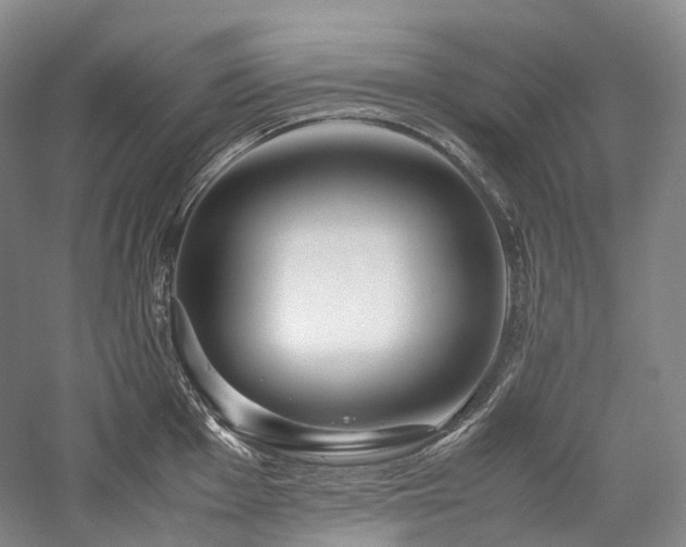 X0000058131001200509231114