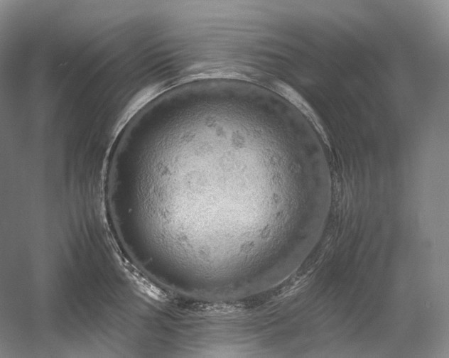 X0000058131002200509231114
