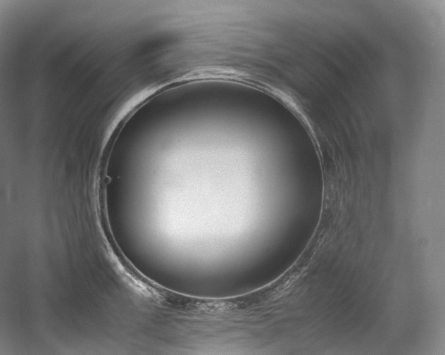 X0000058131003200509231114