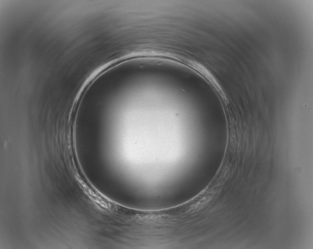 X0000058131004200509231114