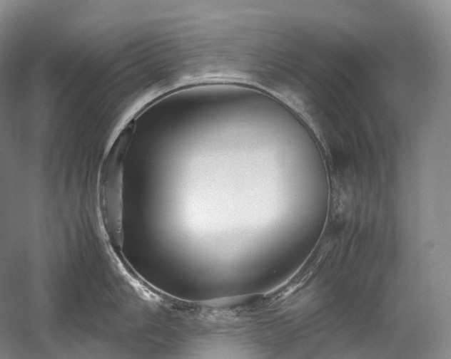X0000058131006200509231114