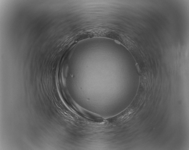 X0000058131010200509231113