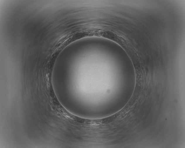 X0000058131013200509231113