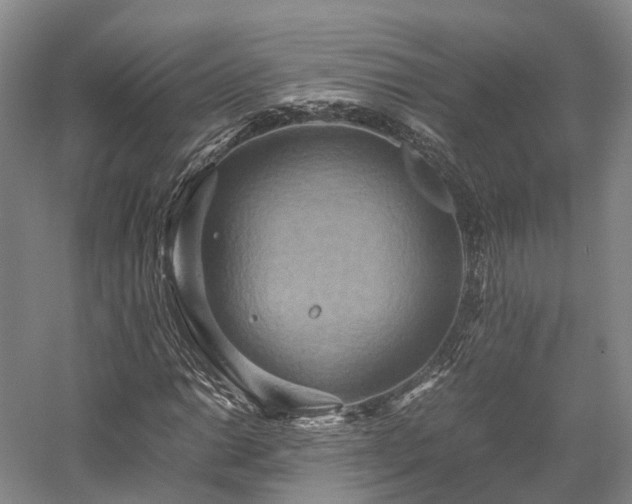 X0000058131014200509231113