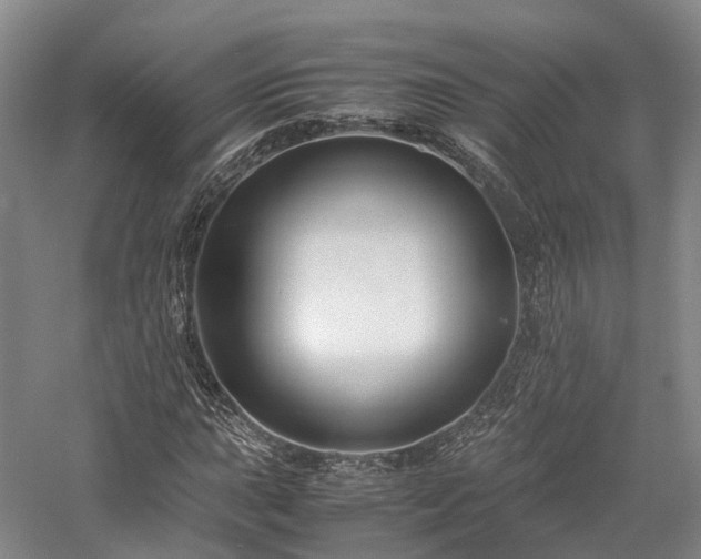 X0000058131015200509231113