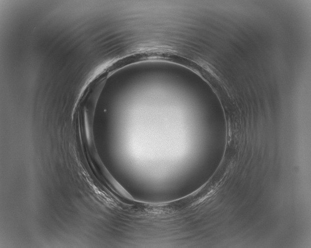 X0000058131022200509231113