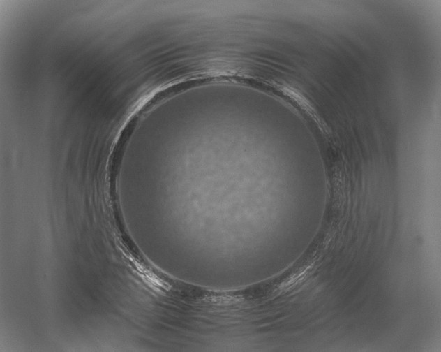 X0000058131023200509231113