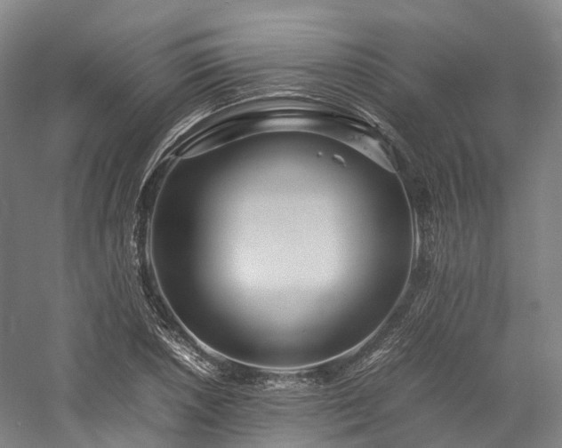X0000058131026200509231113