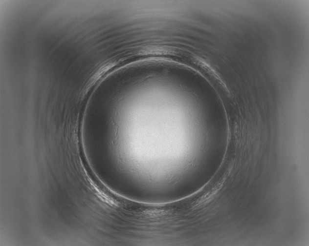 X0000058131033200509231113